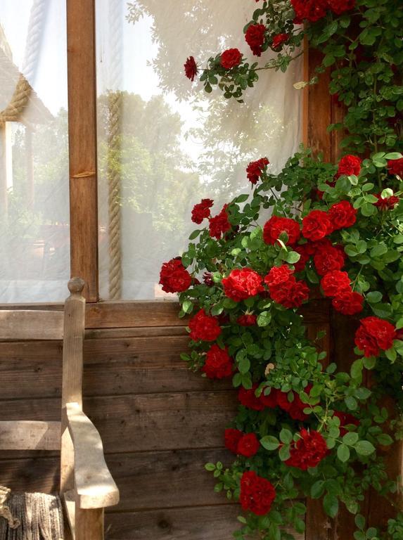 At Home In Maremma Istia d'Ombrone Exterior photo