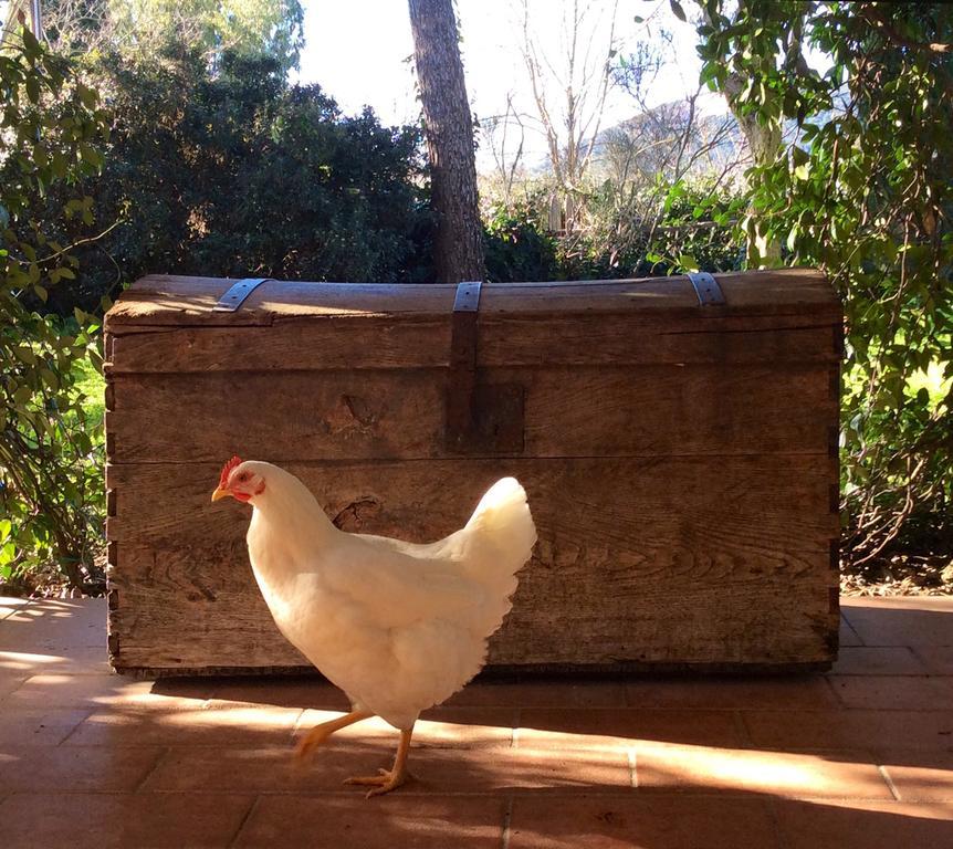 At Home In Maremma Istia d'Ombrone Exterior photo