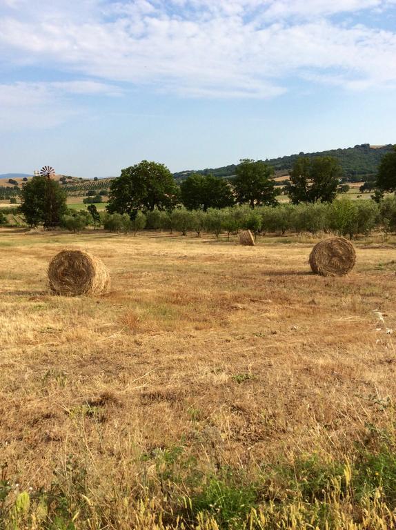 At Home In Maremma Istia d'Ombrone Exterior photo